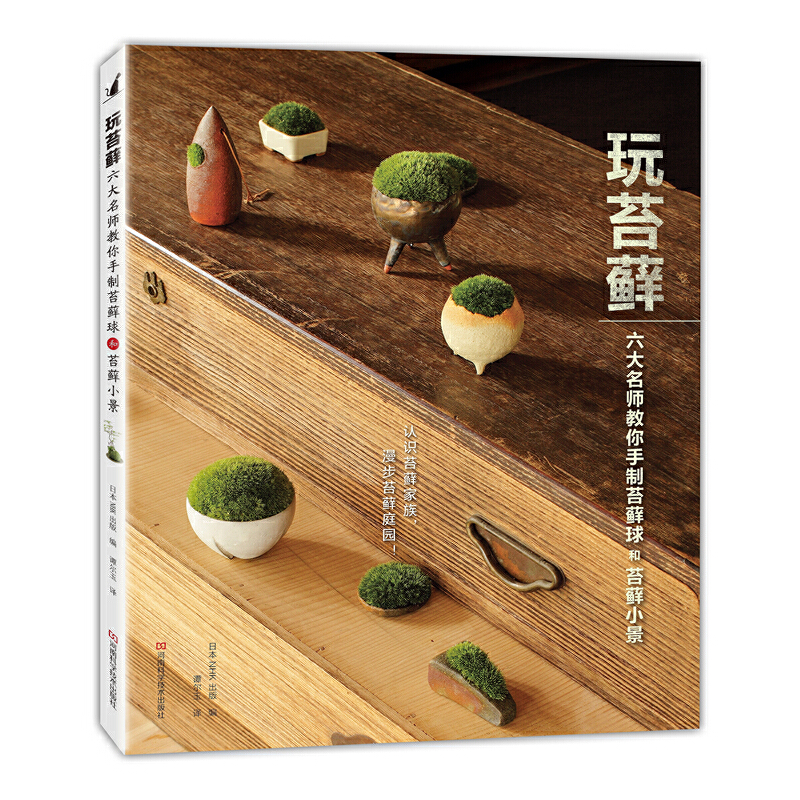 当当网 玩苔藓：六大名师教你手制苔藓球和苔藓小景 正版书籍