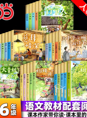 课本作家带你读一二三四五六年级阅读课外书籍必读慈母情深蜘蛛开店树和喜鹊语文读物适合小学生看的上下册大青树下的小学雨点儿23