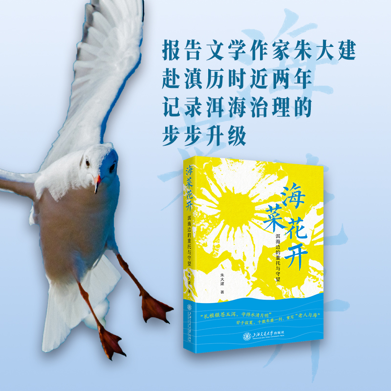 海菜花开——洱海边的重托与守望（重写“老人与海”，十数年治水之路）