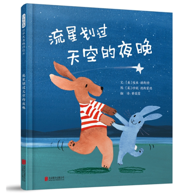 流星划过天空的夜晚——（启发童书馆出品）