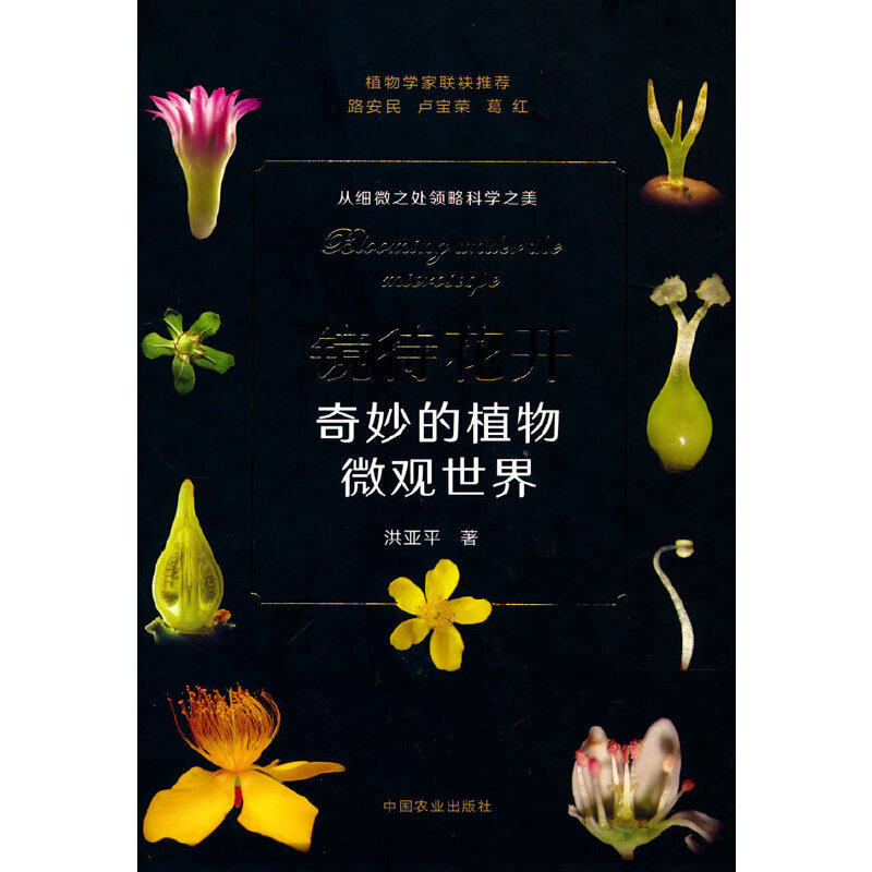 镜待花开  奇妙的植物微观世界