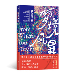 梦境风暴:无意识与小说写作