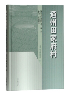 当当网 通州田家府村—通州文化旅游区A8、E1、E6地块考古发掘报告 北京市文物研究所 编 历史考古报告 上海古籍出版