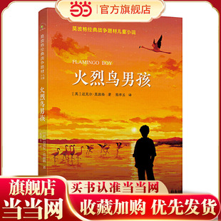 莫波格经典战争题材儿童小说：火烈鸟男孩