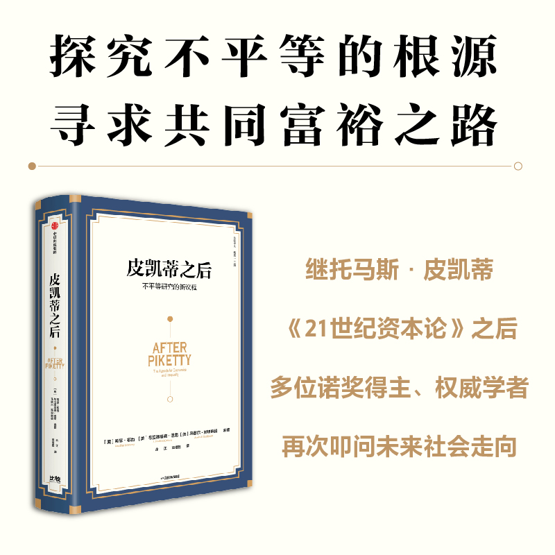 当当网 皮凯蒂之后：不平等研究的新议程 希瑟·布西 布拉德福德·德龙 马歇尔·斯坦 中信出版社 正版书籍