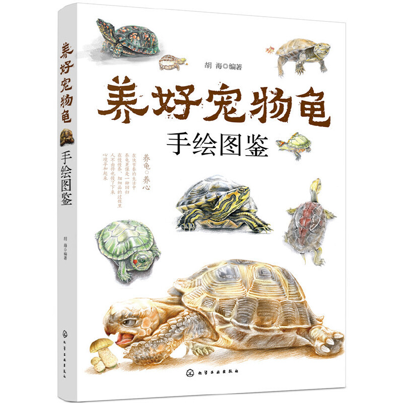 当当网 养好宠物龟手绘图鉴 45种宠物乌龟巴西龟草龟黄耳大鳄龟黑靴特点生活环境搭建喂养方法繁殖龟病防治饲养宠物龟指导参考图书