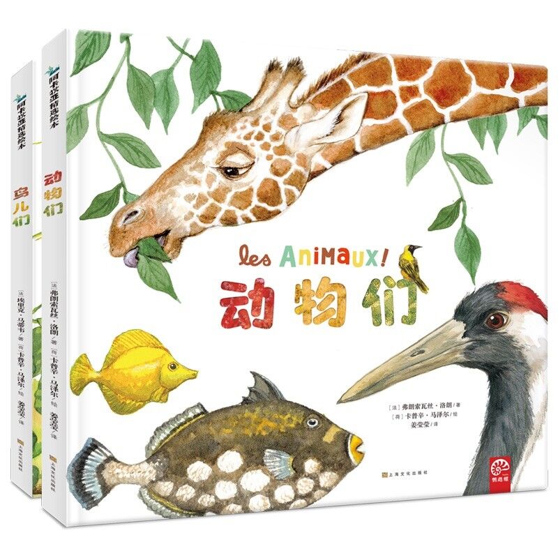 鹦鹉螺无科普动物们鸟儿们