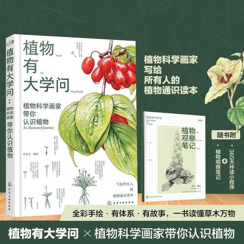植物有大学问：植物科学画家带你认识植物 孙英宝 青少年植物图鉴自然科学科普读物工具书植物的智慧零基础植物通识手绘画入门宝典