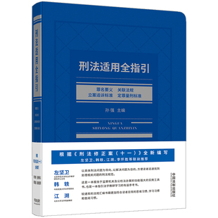 刑法适用全指引：罪名要义 立案追诉标准 定罪量刑标准 关联法规