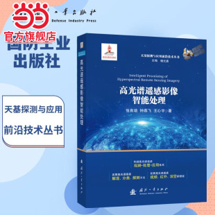 高光谱遥感影像智能处理.张良培，钟燕飞，王心宇 著;9787118133974国防工业出版社