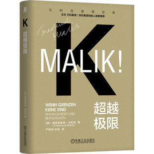 超越极限    [奥]弗雷德蒙德·马利克   超越极限 大疆无人机 王