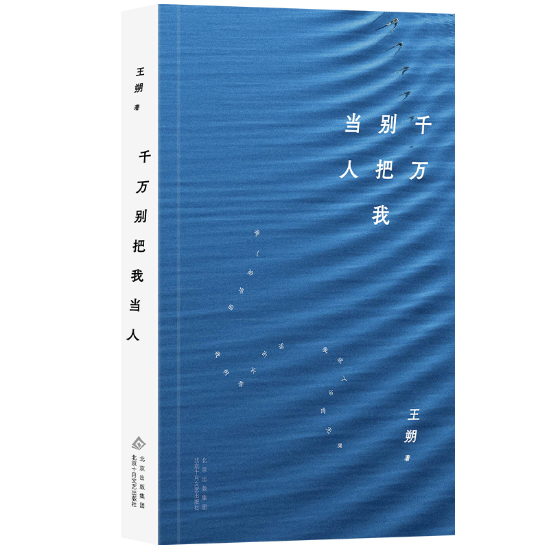 千万别把我当人（2024年平装，王朔经典原著！啼笑皆非的闹剧，辛辣的讽刺与深刻的反思）