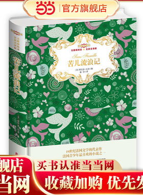 苦儿流浪记彩绘全译本无障碍阅读名家名译版，翻译家唐珍教授译（精装）