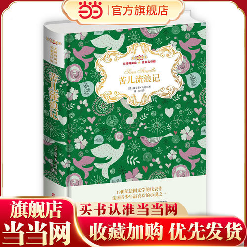 苦儿流浪记彩绘全译本无障碍阅读名家名译版，翻译家唐珍教授译（精装）