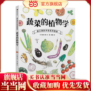 盛口满的手绘自然图鉴：蔬菜的植物学
