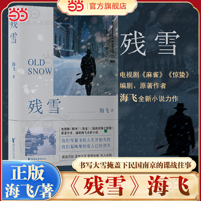 当当网 残雪 海飞代表作 书写大雪掩盖下民国南京的谍战往事入选河南一模高考卷 电视剧醒来惊蛰原著小说作者 现代文学小说故事书