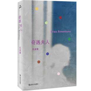 奇遇夫人（孔亚雷全新概念小说集。一个隐居山中的作家以想象重组时空，一部模糊现实与虚构界线的后现代桃花源记）