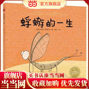 一生平装 海豚绘本花园蜉蝣 点读版 8岁儿童哲学启蒙生命教育绘本亲子共读宝宝睡前阅读绘本 当当网正版 童书