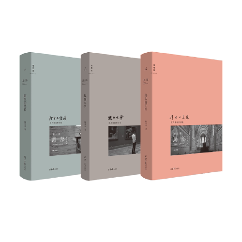 【当当网 正版书籍】陈丹青 局部 套装全3册