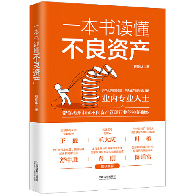 【当当网】一本书读懂不良资产（王巍、毛大庆、叶檀、舒中胜、曾刚、陈道富联合推荐）中国法制出版社正版书籍-封面