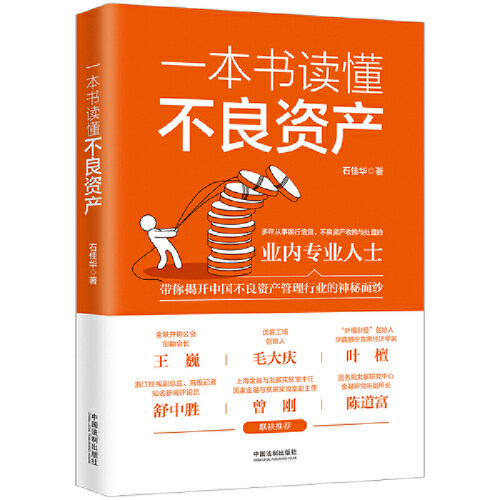 【当当网】一本书读懂不良资产（王巍、毛大庆、叶檀、舒中胜、曾刚、陈道富联合推荐） 中国法制出版社 正版书籍