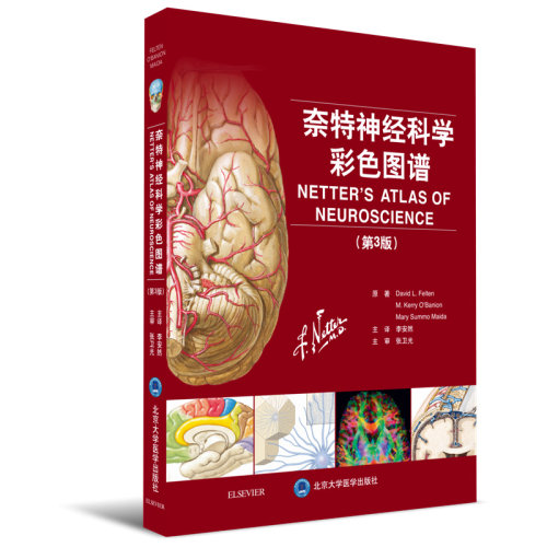 奈特神经科学彩色图谱（第3版）