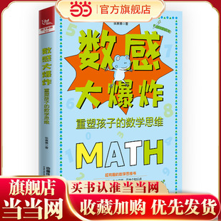 数感大爆炸：重塑孩子 数学思维