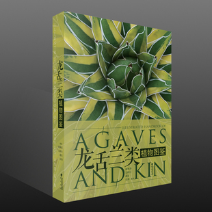 龙舌兰类植物图鉴