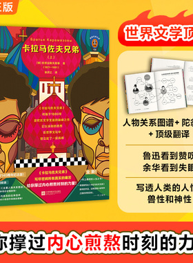 卡拉马佐夫兄弟（套装全2册）陀思妥耶夫斯基著 经典文学 外国小说 写尽世间所有真实的痛苦给你撑过内心煎熬时刻的力量 耿济之