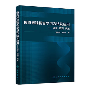 投影寻踪耦合学习原理 投影寻踪耦合学习方法及应用 决策 预测 统计学习数据科学和工程应用方向研究及实践工作者学习参考书 评价
