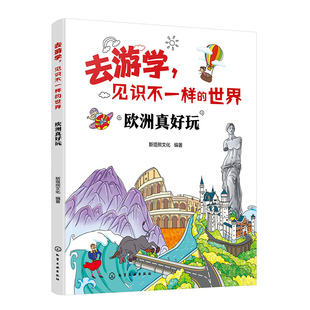 去游学 见识不一样的世界 欧洲真好玩 6-12岁儿童小学生科普图书籍 人文历史文化自然景观名胜古迹民俗风情艺术科技方面成就