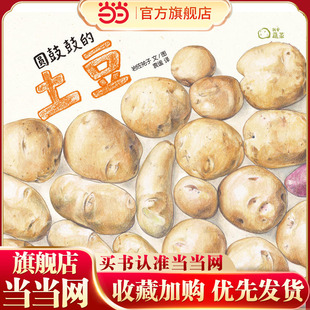 我爱蔬菜系列:圆鼓鼓的土豆