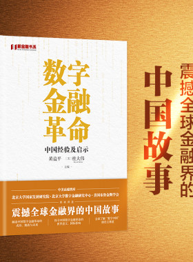 数字金融革命：中国经验及启示