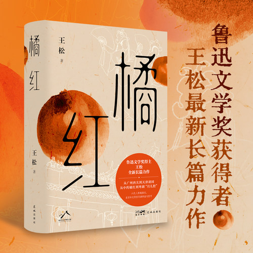 橘红（真实街巷里的百年传奇，小人物肩上的大文化，鲁迅文学奖获得者王松长篇力作）