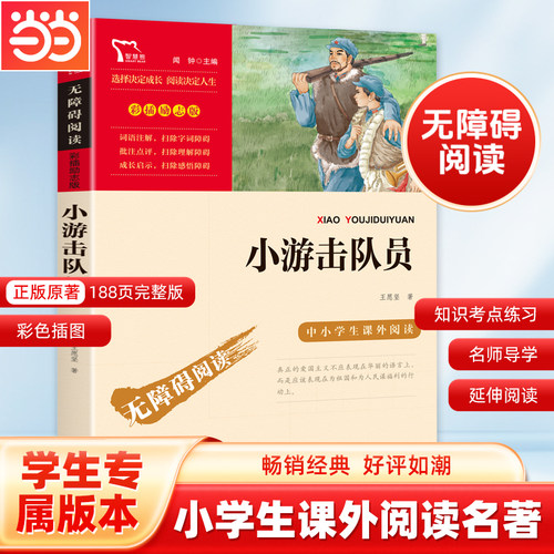当当网红色经典故事小游击队员