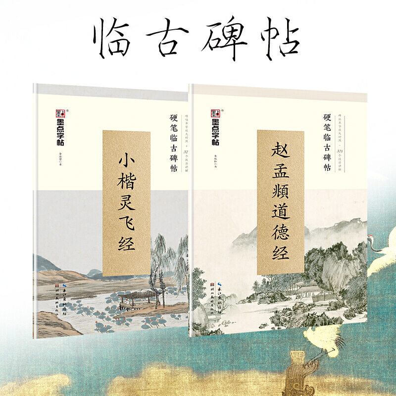 墨点字帖楷书单字放大对照本成人练字硬笔临摹碑帖小楷灵飞经赵孟頫道德经2册套装