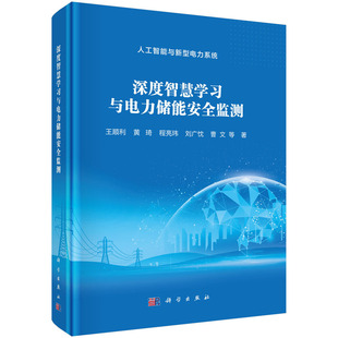 深度智慧学习与电力储能安全监测9787030830685王顺利科学出版社