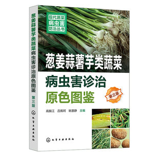 新型生物菌剂绿色防控 现代蔬菜病虫害防治丛书 蔬菜病虫害诊治畅销书再版 第三版 虫害防治 葱姜蒜薯芋类蔬菜病虫害诊治原色图鉴
