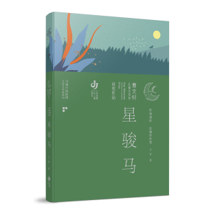 第三届曹文轩儿童文学奖获奖作品：星骏马