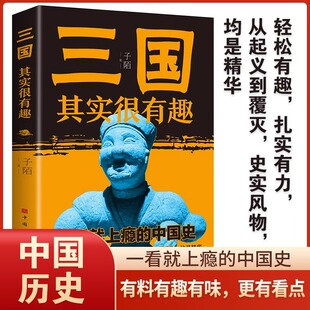 三国其实很有趣子陌一看就上瘾的三国史从大乱到统一 历史书籍中国史史学理论
