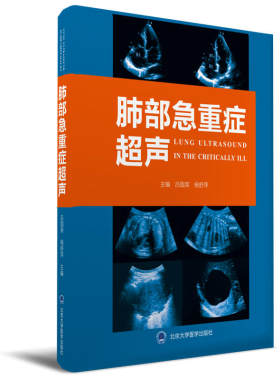 肺部急重症超声