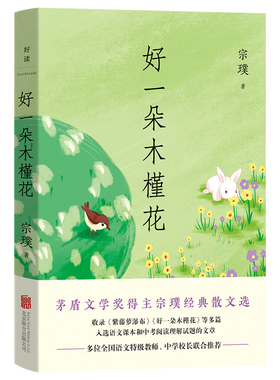 当当网 好一朵木槿花 宗璞 北京联合出版有限公司 正版书籍