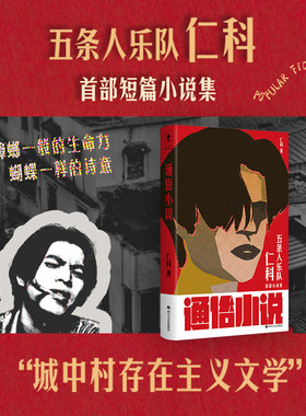 当当网正版通俗小说仁科著