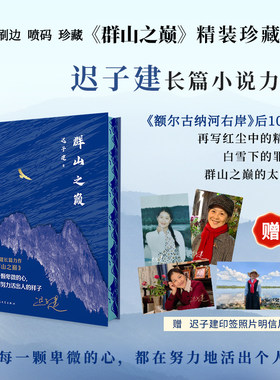 当当网 群山之巅（十周年布面精装刷边喷码珍藏版）茅盾文学奖得主迟子建长篇小说力作出版书写城市烟火照亮人间悲欢长篇小说正版