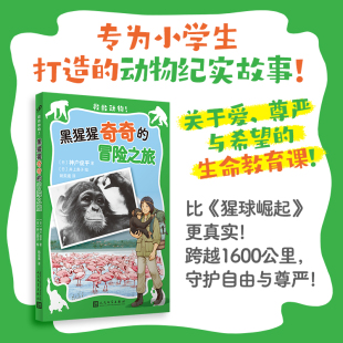 比 猩球崛起 更真实 黑猩猩奇奇 守护自由与尊严 救救动物 兽医与黑猩猩跨越1600公里 冒险之旅