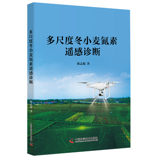 多尺度冬小麦氮素遥感诊断