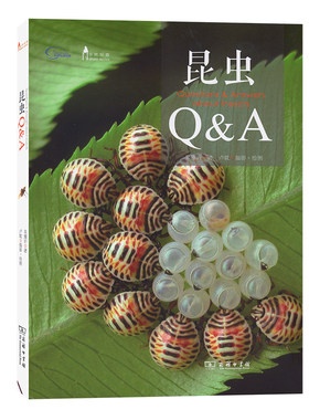 当当网 昆虫Q&A(自然观察丛书) 朱耀沂 著 卢耽 摄影/绘图 商务印书馆 正版书籍