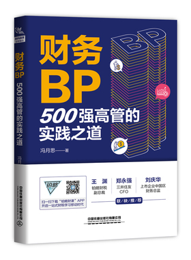 当当网 财务BP：500强高管的实践之道 中国铁道出版社 正版书籍
