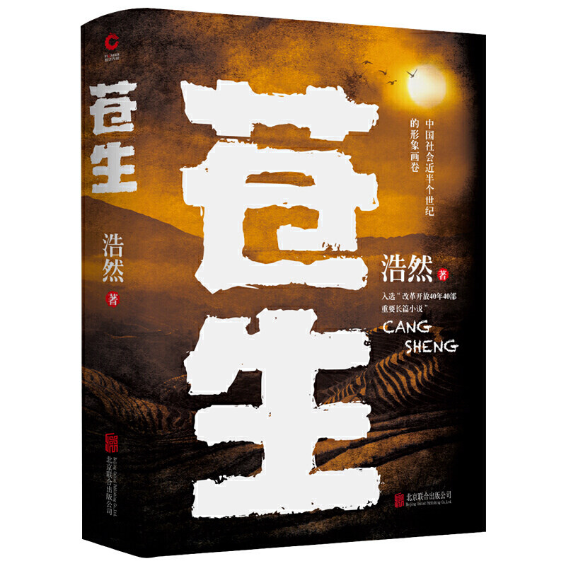 苍生（比肩《平凡的世界》的 现实主义长篇巨制）使用感如何?