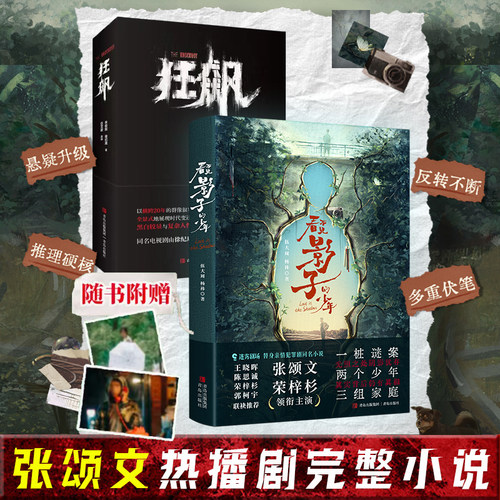 当当网【赠印签明信片】 狂飙小说+看不见影子的少年 徐纪周导演 张译 张颂文 桐主演同名电视剧狂飙原著小说 正版畅销书